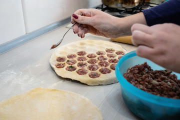 Traditional Russian cuisine : cooking dumplings at home