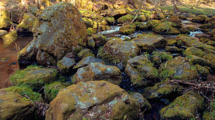 Mossy stones in the water. Calm weather. Spring.
