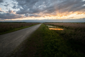 Fototapeta na wymiar A road runs to the horizon in a marsh and swampy wetlands at sunset