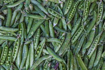 Full Frame Raw Green Beans on Market
