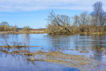 river in spring during spill