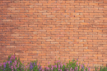 Flowers on Brick Wall Texture