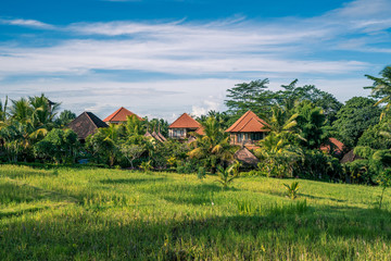 Fototapeta na wymiar Farm house landscape in Ubud, Bali
