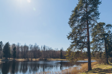 park in the suburbs of St. Petersburg in the spring