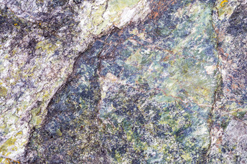 The structure of a stone of green color damaged by bad weather with moss-grown. Ready photo background. Soft focus. Macro.