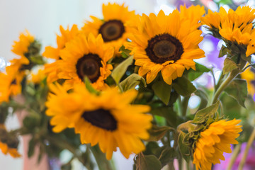 Sunflowers with blurred  neon background on the party night