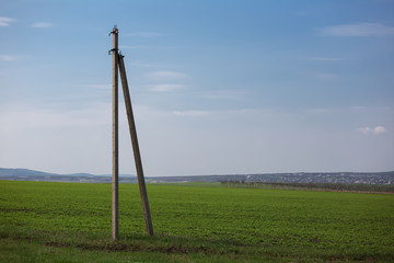 Fototapeta premium Stone electric pole in agriculture field.