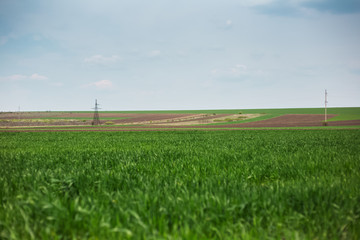 Moldavian agriculture fields in day of spring.