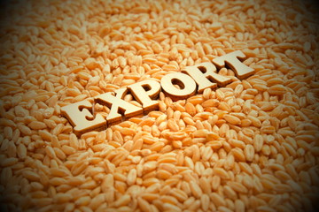 Grain export. Wooden letters on the background of wheat grains. Vignetting, toning. High yield. External economic relations of the country. Allowing or banning the export of strategic food stocks