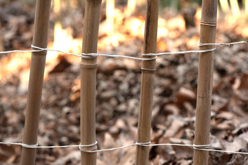 photo background with bamboo fence. the picture shows four bamboo branches connected by a rope. the background is blurred