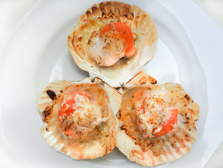 Grilled scallops shell with butter and cheese. Thai seafood grilled scallops on white plate.