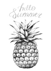 black and white drawing of pineapple on a white background