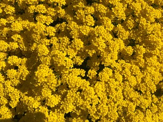 Schwarzwald Ausflug an Ostern