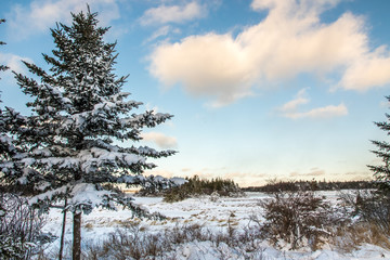 Snow scenes in the winter in Nova Scotia.
