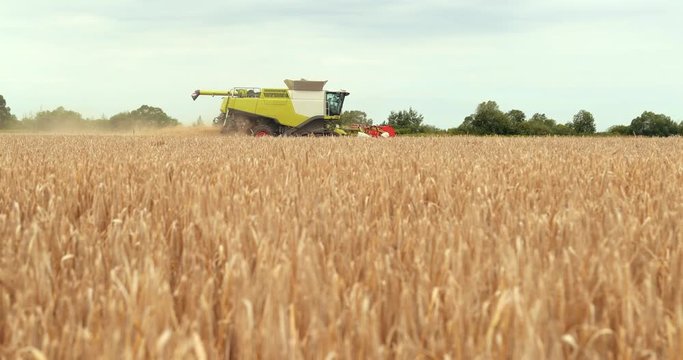 Harvester Machine Working In Field . Combine Harvester Agriculture Machine Harvesting Golden Ripe Wheat Field. Agriculture. Prores, Slow Motion