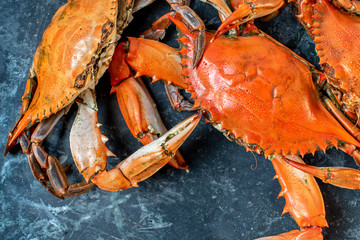 steamed whole blue crabs on wet marble background flat lay © Lynne Ann Mitchell
