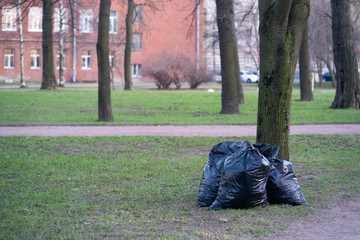 garbage bags with trash in the park. cleaning the park in spring. black and full environmental problem