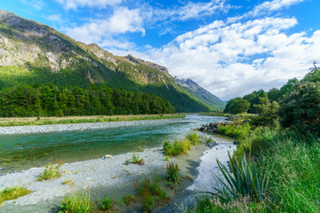meadow with lupins on a river between mountains, new zealand 10