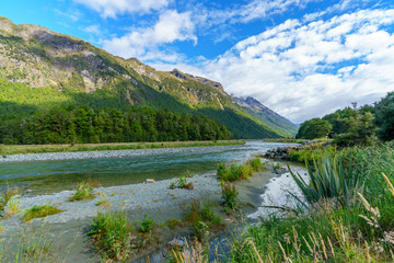 meadow with lupins on a river between mountains, new zealand 11
