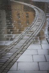 Wet pavement reflection