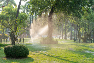 Springer water, green garden with springer water in summer morning beautiful nature