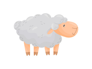 Cute curly sheep on a white background. Vector illustration.