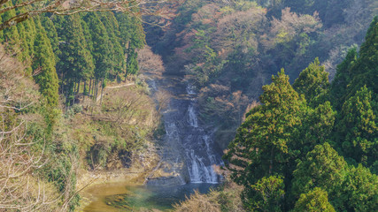春の粟又の滝の風景