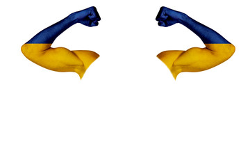 Two carved hands with a painted Ukraine flag show muscles as a sign of strength, strength and...