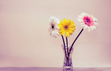 flowers in vase on a black background