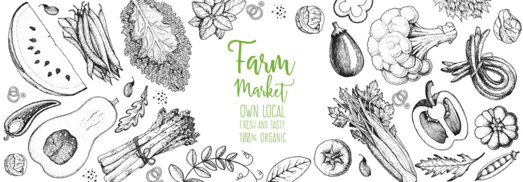 Healthy food vector illustration. Vegetables hand drawn. Organic products set. Farm market food collection. Celery, tomato, pepper, broccoli, peas, pumpkin, asparagus,salad sketch