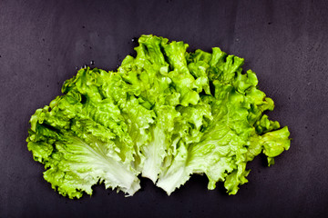 Green organic lettuce salad leaves on black background.