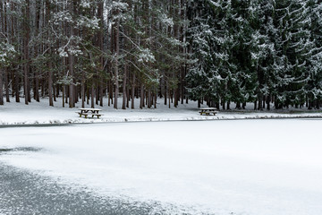 Picnic tables on lakes edge frozen lake pond snow covered pine trees winter scene travel park