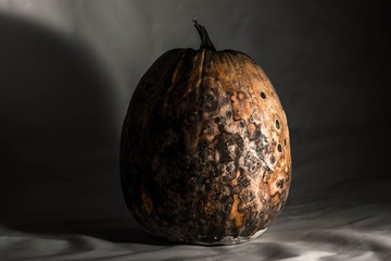 Dry and rotten pumpkin on a black white background, spoiled vegetable. Sinister food