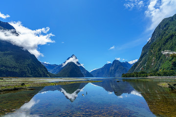 reflections of mountains in the water, milford sound, new zealand 20