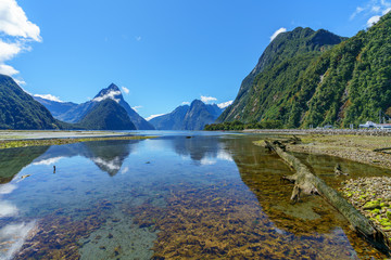 reflections of mountains in the water, milford sound, new zealand 27