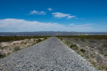Desert Road near to Real de Catorce Mexico