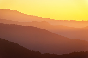Obraz premium Golden shades in the valley