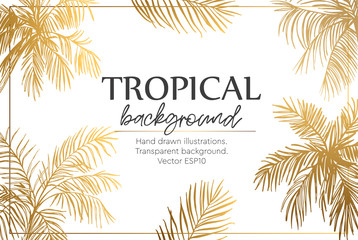 Background with palm trees. Template of greeting card or invitation. Vector illustration © aksol