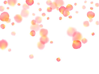 Rose gold petals flying cosmetics vector background.