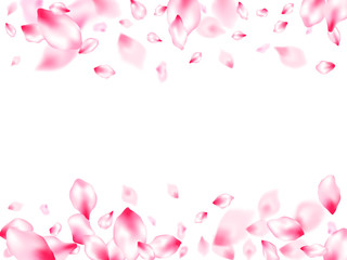 Obraz na płótnie Canvas Japanese cherry blossom pink flying petals