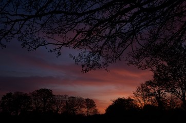 Rural sunset, Jersey, U.K. Spring landscape.