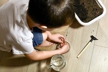 A child near a pot with earth, a jug and a rake rakes cilantro seeds from a cup.