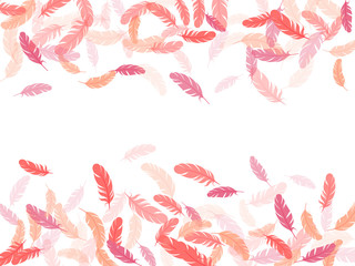 Fluffy twirled feathers on white design.