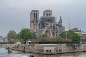 Obraz premium Paris, France - 04 16 2019: The day after the fire at Notre-Dame Cathedral
