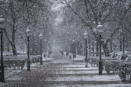 Snöyra På Kungsgatan 2