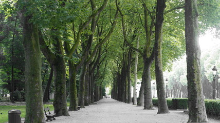 alley in the park