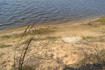 Sandy shore near the water in the spring.