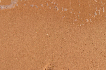 Soft wave of sea on sandy beach