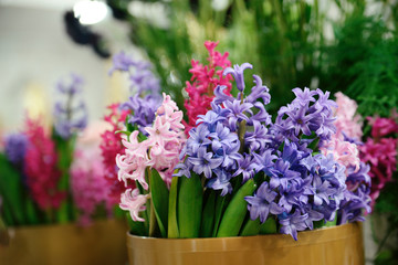  pink and violet flowers in a basket