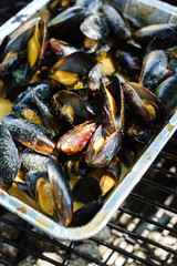 grilled mussels on the grill